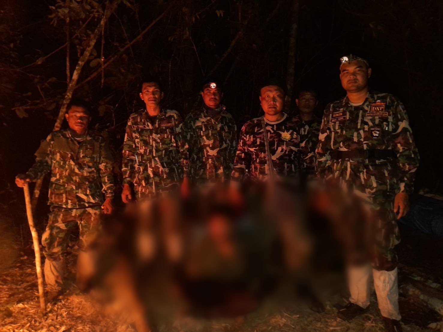ชัยภูมิรวบขบวนการลอบตัดไม้หอมข้ามชาติพบเครือข่ายชาวไทยหนุนหลังชาวต่างชาติ 