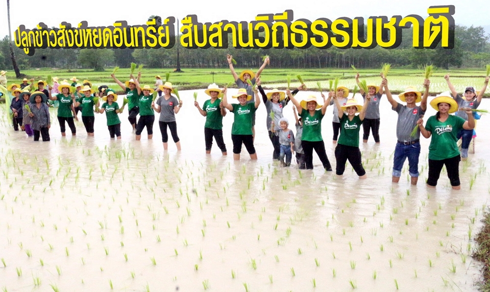 นาร้าง..สร้างรายได้ แก้จนของคนตะโหมด