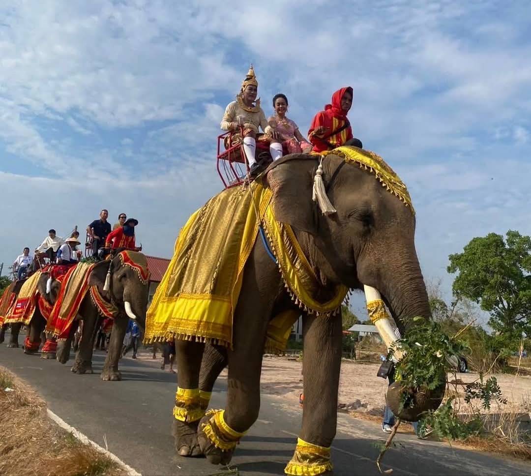 รองผู้ว่าฯ ยโสธร นั่งช้างเข้าเมืองประเพณีบุญผะเหวดวัดบูรพารามทุ่งแต้