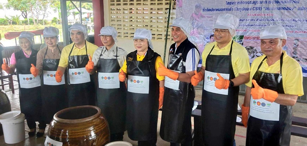ประมง-เรือนจำสมุทรสาคร ร่วมจับ "ปลาหมอคางดำ" ทำน้ำปลา "หับเผย สมุทรสาคร"