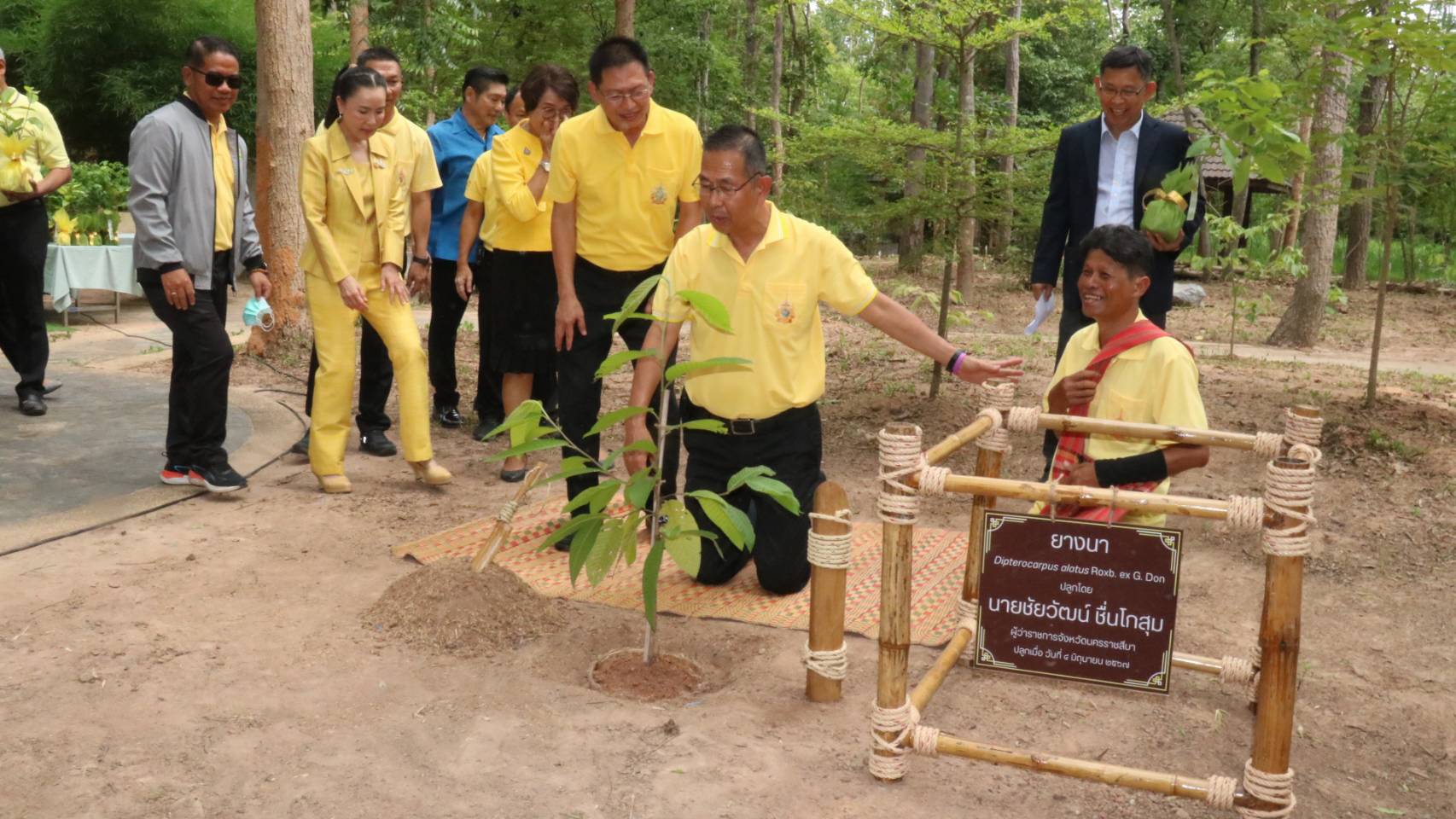โคราชไอเดียเก๋ จัดโครงการ “บำนาญประชาชน” ปลูกต้นไม้เป็นเงินออม ลดก๊าซเรือนกระจก