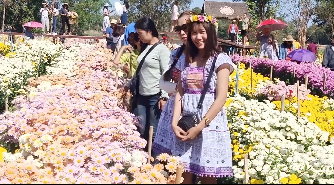 ชื่นใจก่อนกลับอุดร นักท่องเที่ยวแห่ชมดอกไม้สวยที่ห้วยสำราญ
