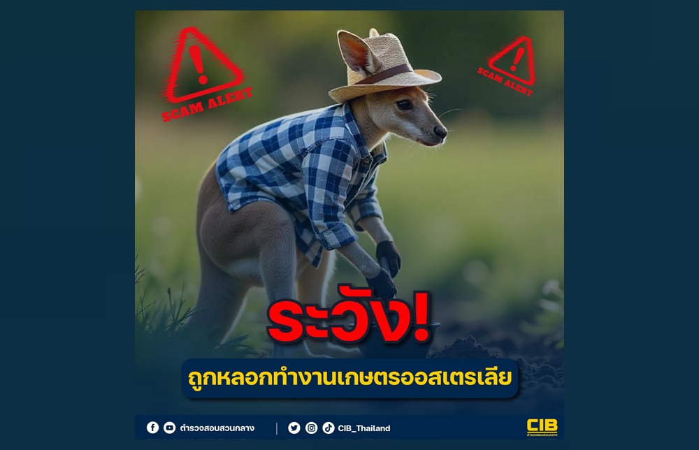 เตือน! ระวังมิจฉาชีพหลอกทำงานเกษตรออสเตรเลีย