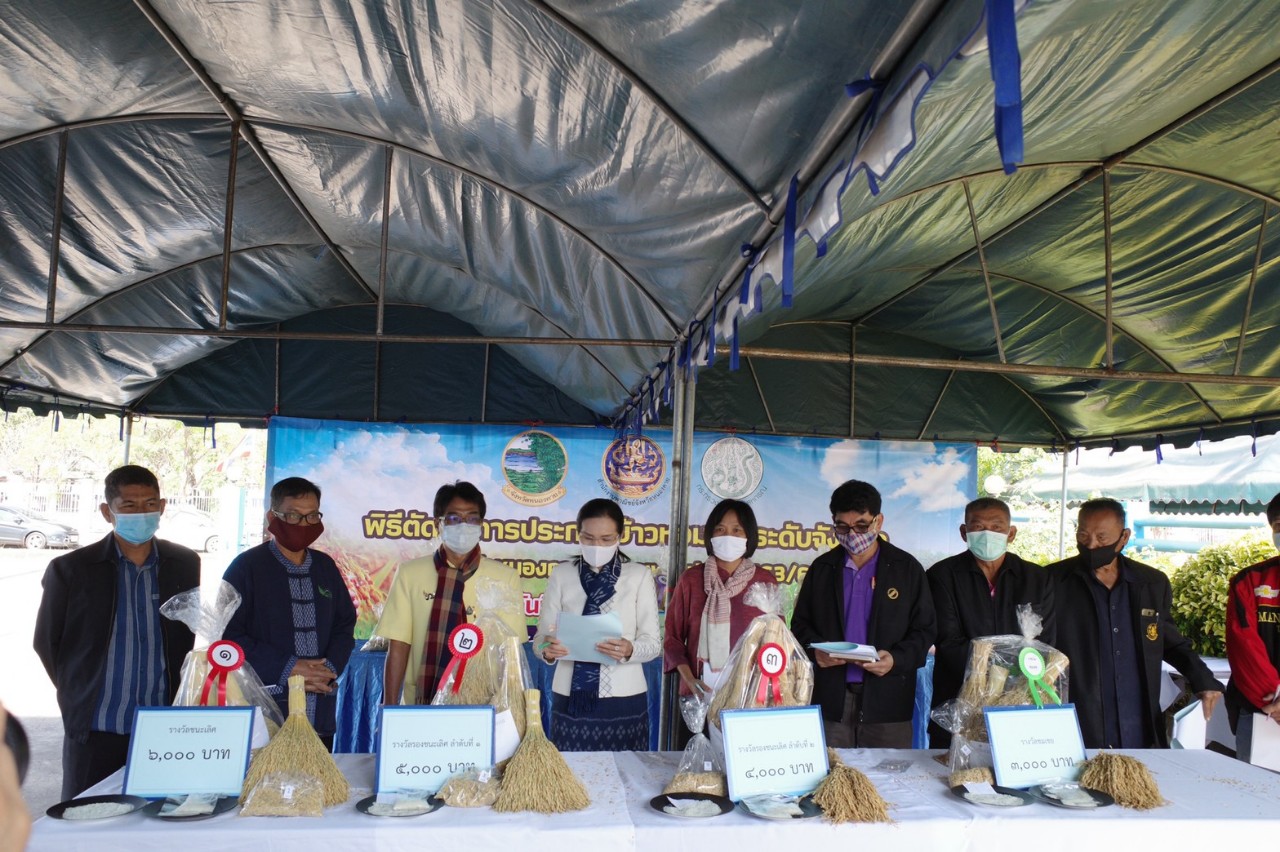 สำนักงานพาณิชย์จังหวัดหนองคาย จัดประกวดข้าวหอมมะลิ ประจำปีการผลิต 2563/64