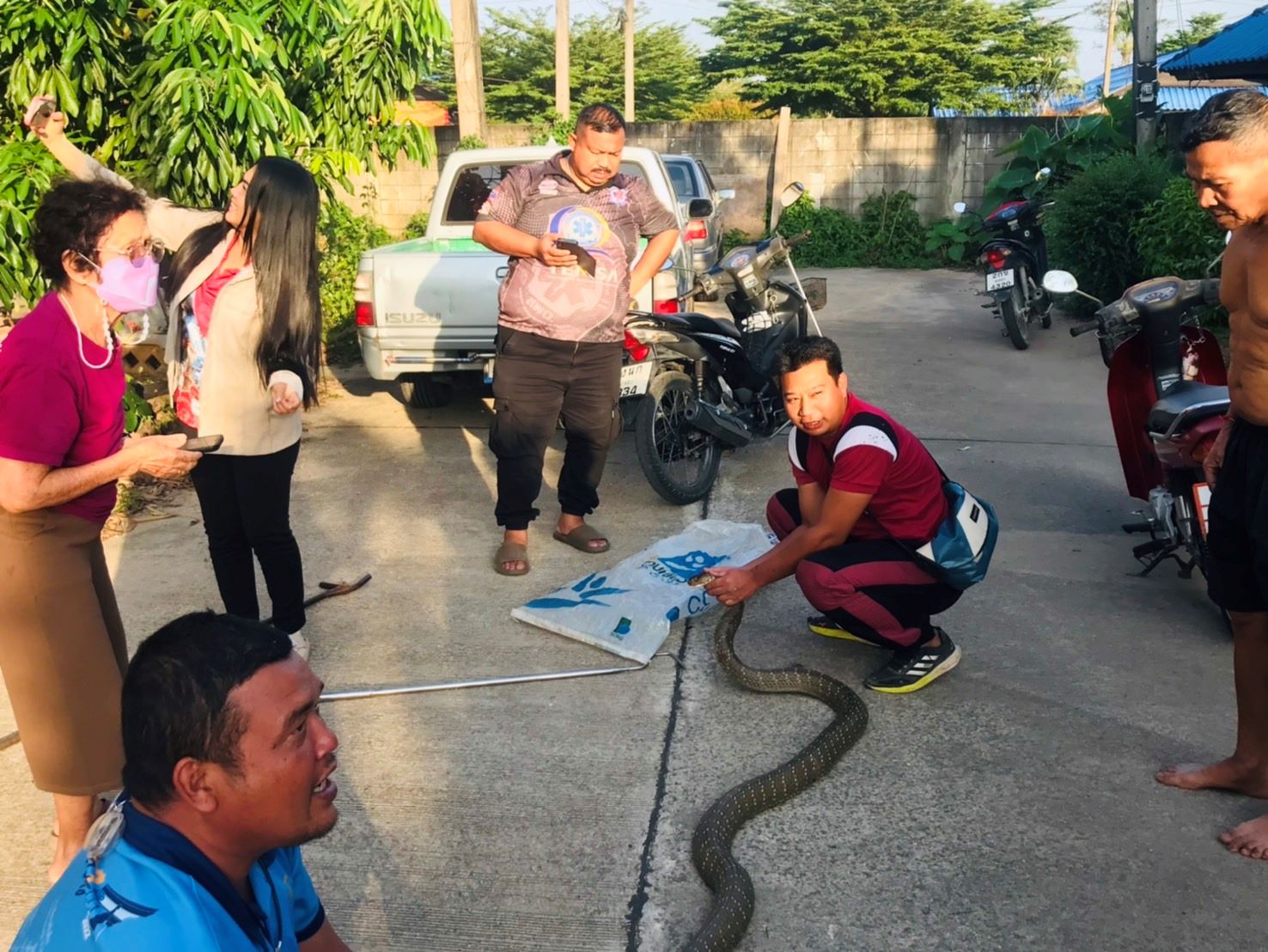 เจ้าหน้าที่มูลนิธิอริโยสามัคคีนาทวีจับจงอางยักษ์ยาวเกือบ 4 เมตรเข้าบ้านชาวบ้านนำเลขเด็ดบ้านซึ้อหวย 
