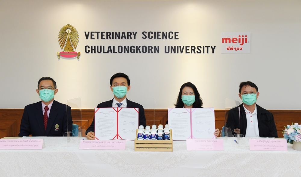 คณะสัตวแพทยศาสตร์ จุฬาฯ ผนึกกำลัง ซีพี-เมจิ ร่วมพัฒนาสุขภาพและผลผลิตโคนม เชื่อมโยงสุขภาพผู้บริโภค