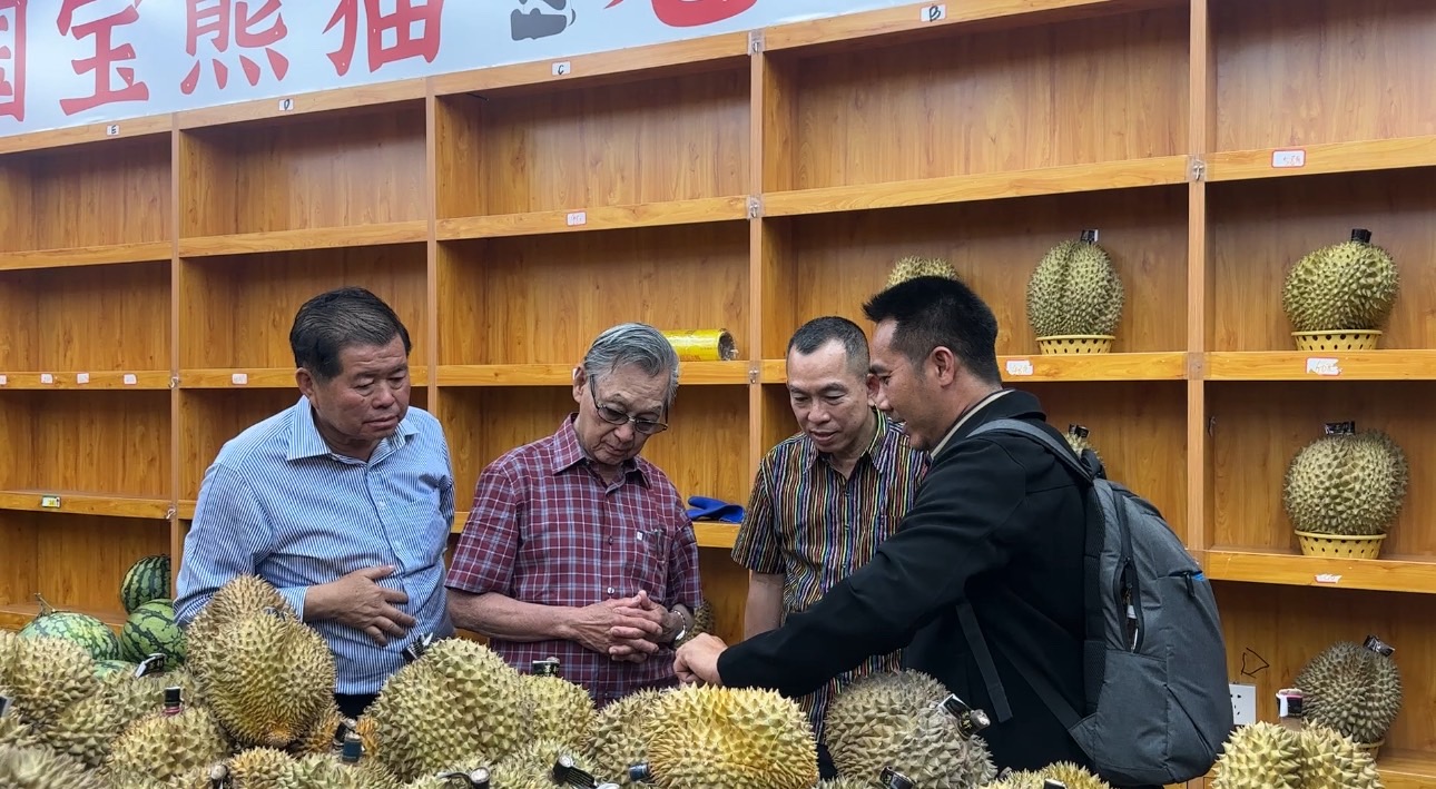"ชวน–นิพนธ์" นำคณะเยี่ยมชมตลาดทุเรียนไทยในเฉิงตู ย้ำการรักษาคุณภาพ สร้างความเชื่อมั่น "ผู้บริโภคจีน" ขยายโอกาสตลาดผลไม้ไทย