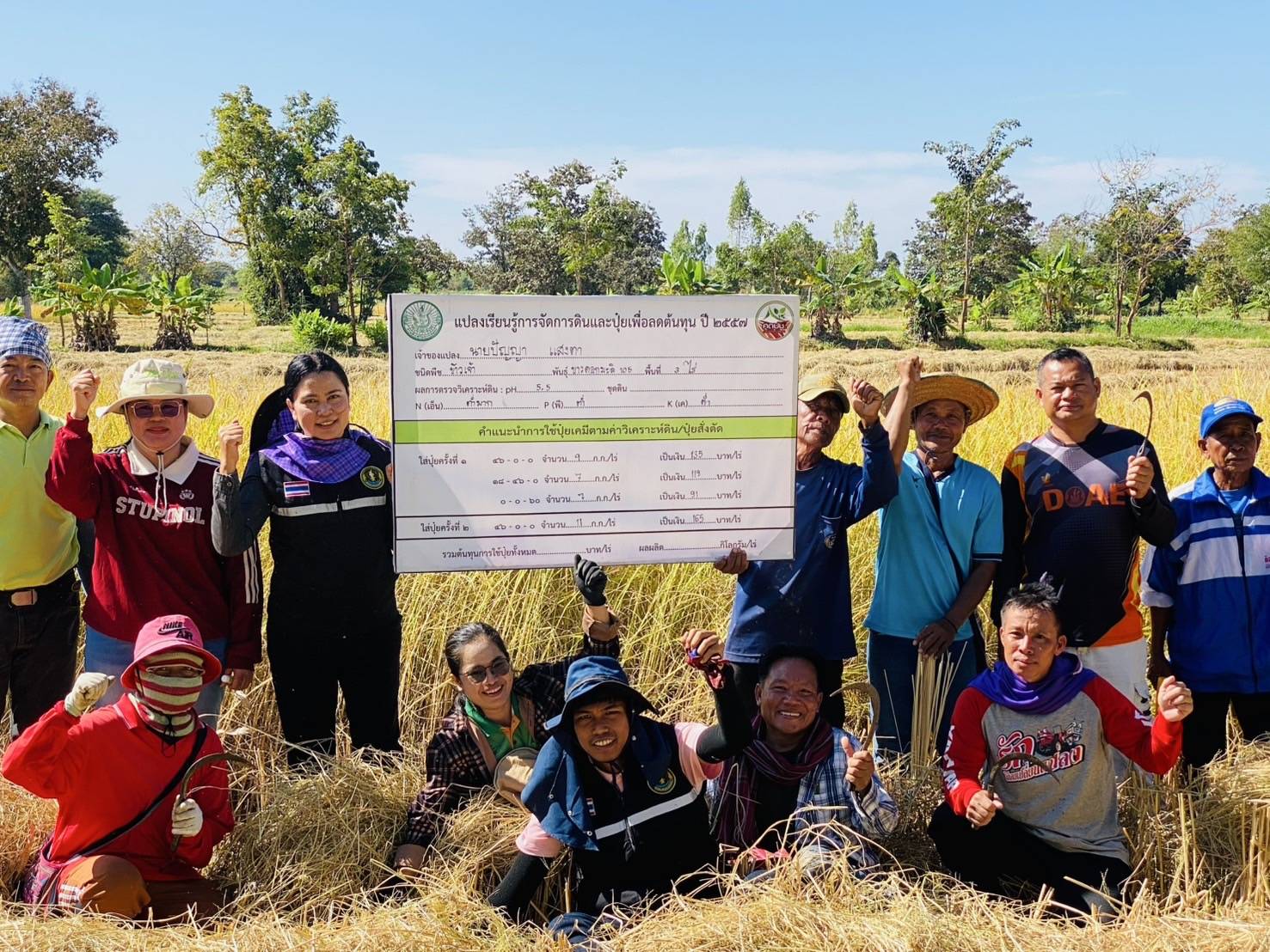 เกษตรอำเภอเลิงนกทา นำเจ้าหน้าที่เกี่ยวข้าวและฟาด(ตี) ที่แปลงเรียนรู้การจัดการดินเพื่อลดต้นทุนการผลิตปี 67