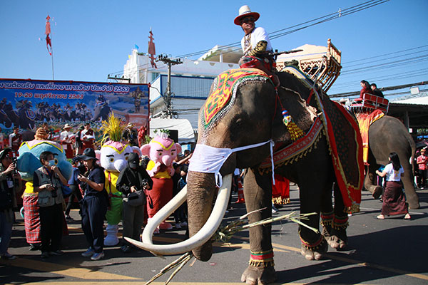 อบจ.สุรินทร์ เตรียมจัดเลี้ยงอาหารช้างยิ่งใหญ่สะท้อนเอกลักษณ์สุรินทร์เมืองช้าง