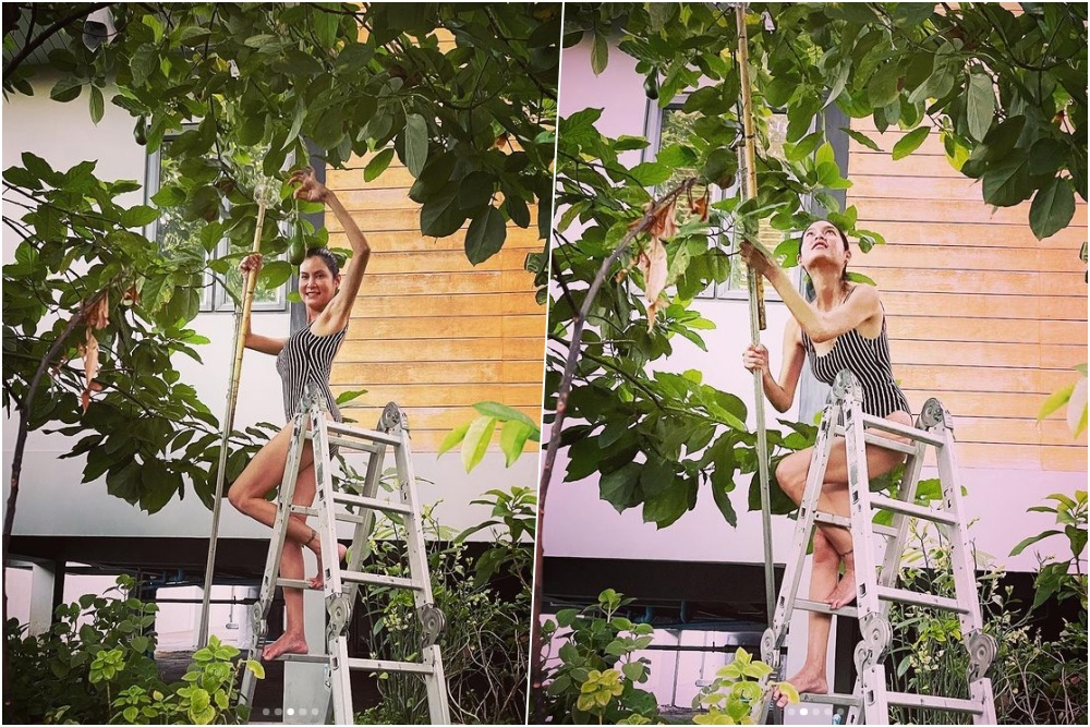 แซ่บตัวแม่! 'ปิ่น เก็จมณี' โชว์ชุดเก็บอะโวคาโดสุดแซ่บ