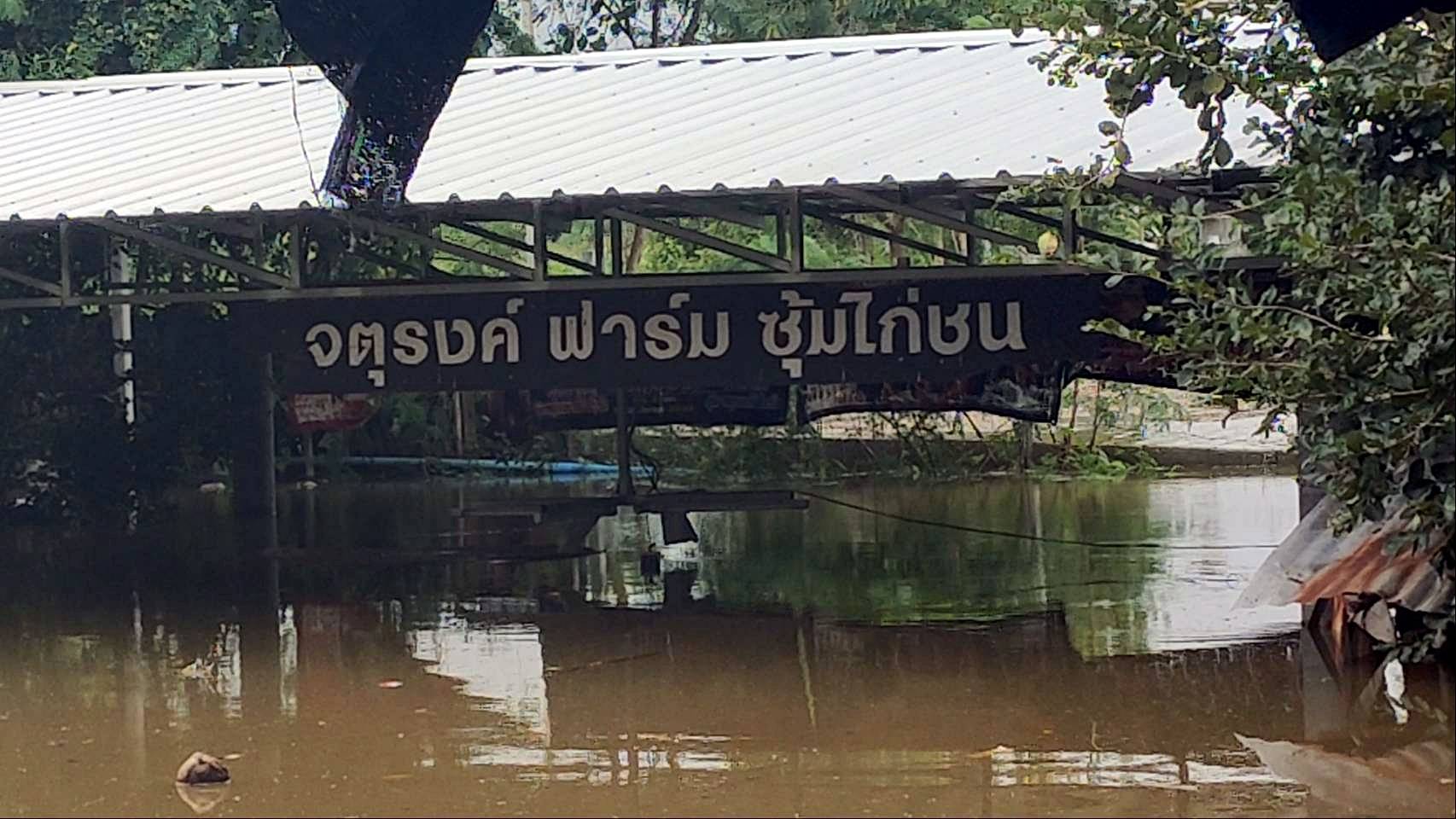   "จตุรงค์ มกจ๊ก" สั่งประกาศปิดร้าน "ครัวลุงรงค์" 3 วัน หลังฝนตกติดต่อกันจนน้ำท่วม