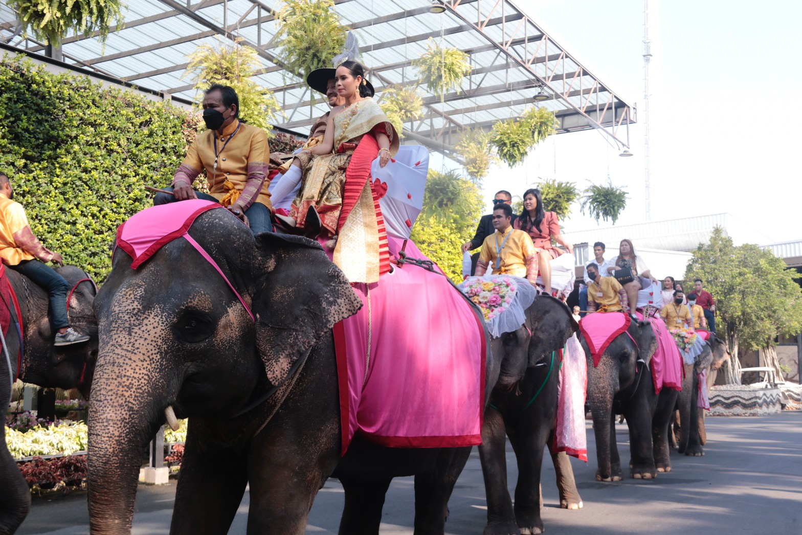 สวนนงนุชพัทยา จดทะเบียนสมรสบนหลังช้าง 99 คู่รัก ในวันวาเลนไทน์ 