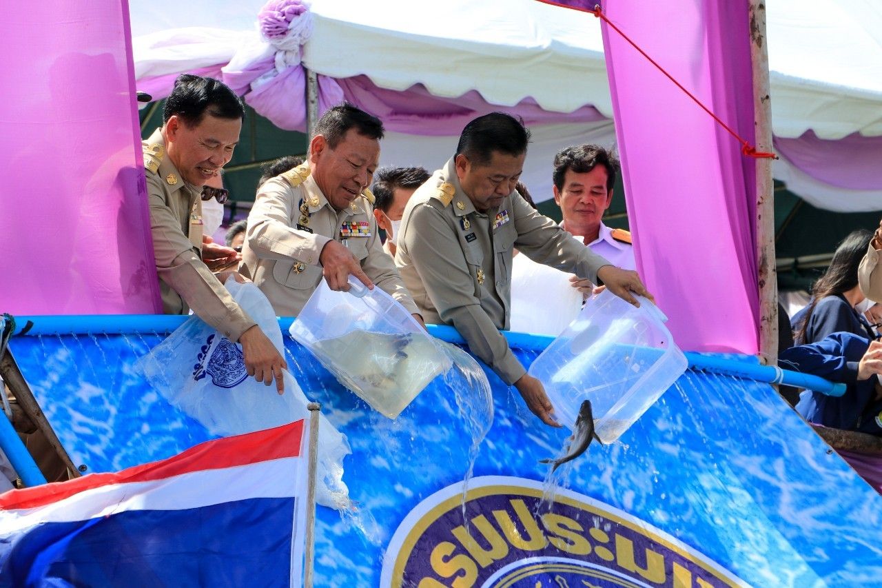 ร้อยเอ็ดปล่อยพันธุ์สัตว์น้ำกว่าสองแสนตัวเนื่องในวันเฉลิมพระชนมพรรษาสมเด็จพระนางเจ้าสุทิดาฯ 