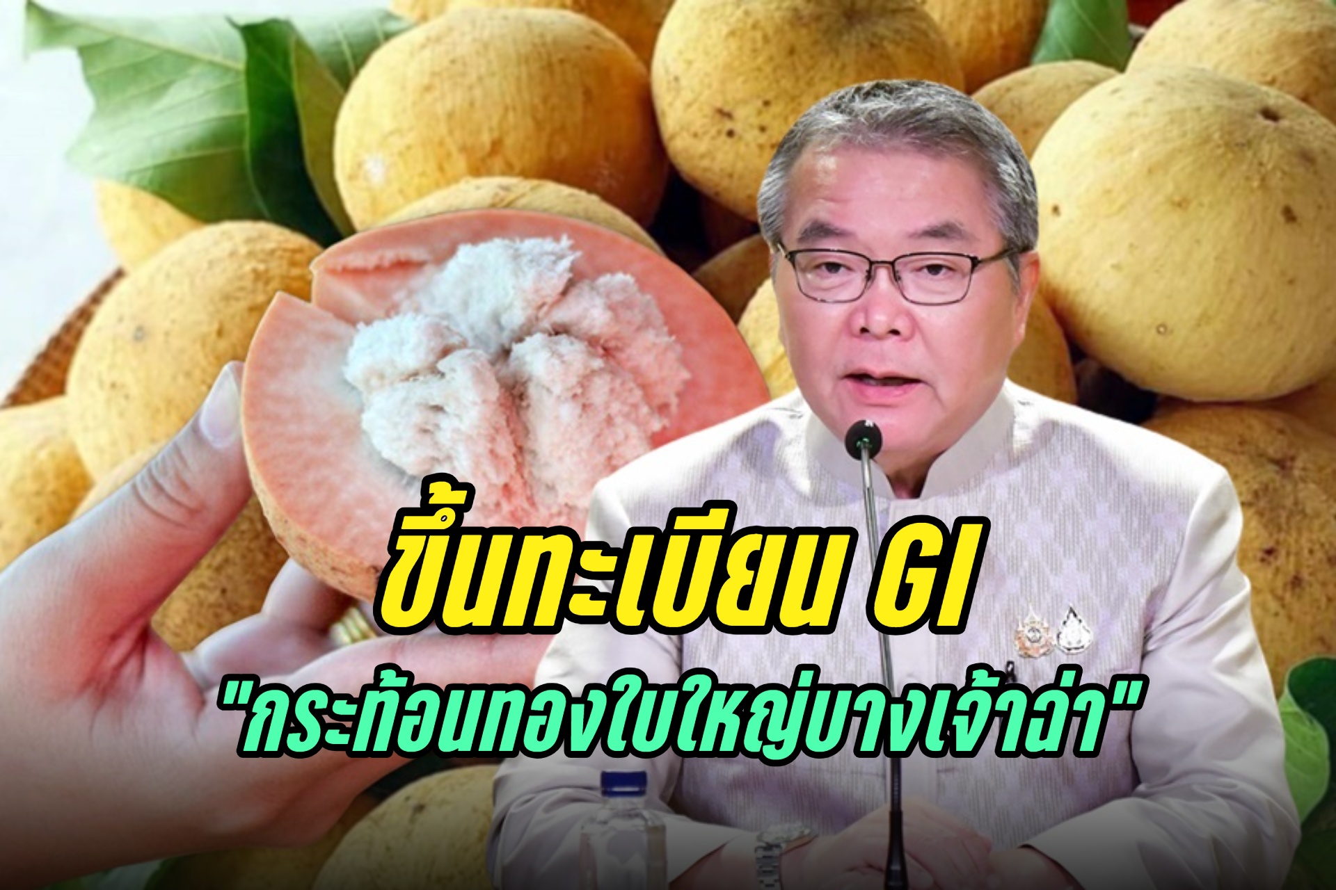 รบ.ขึ้นทะเบียน GI “กระท้อนทองใบใหญ่บางเจ้าฉ่า” เฉลิมพระเกียรติฯ