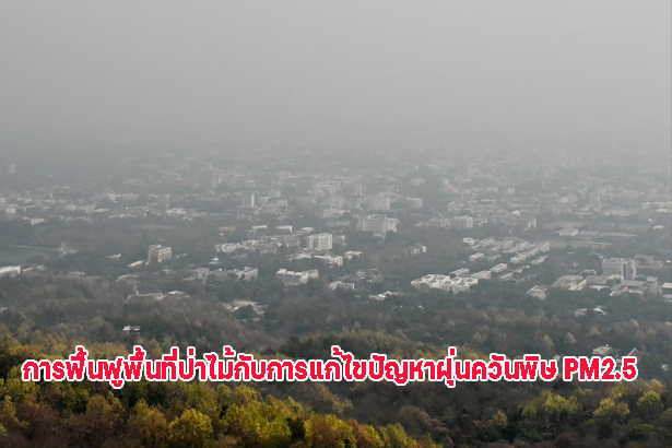 การฟื้นฟูพื้นที่ป่าไม้กับการแก้ไขปัญหาฝุ่นควันพิษ PM2.5