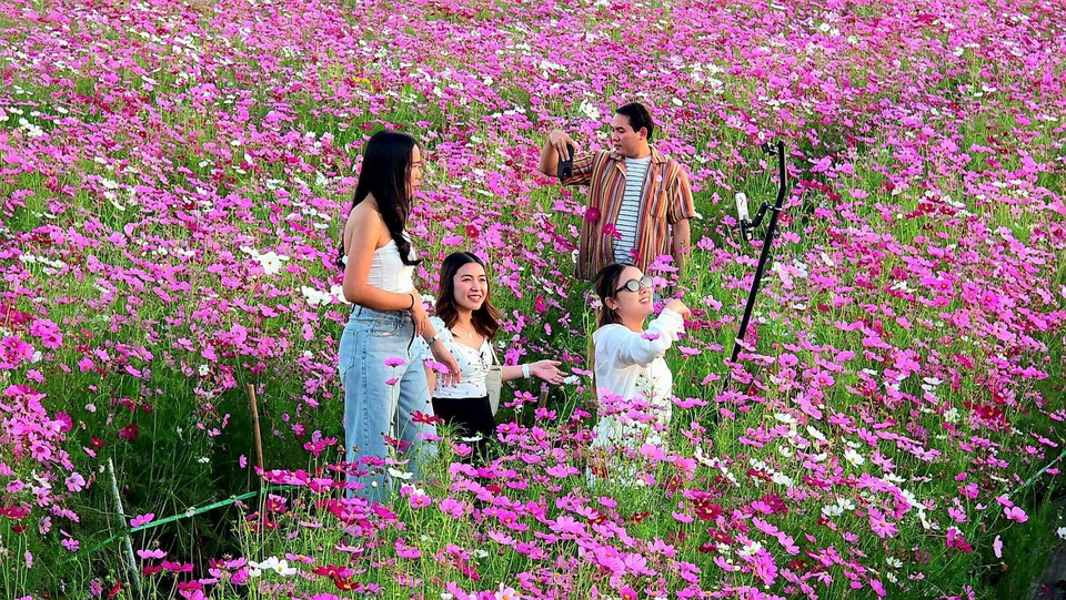 เกษียณแล้วสุข อดีตข้าราชการเนรมิตสวนดอกไม้กลางหุบเขาลพบุรี เป็นแหล่งท่องเที่ยวแห่งใหม่ 