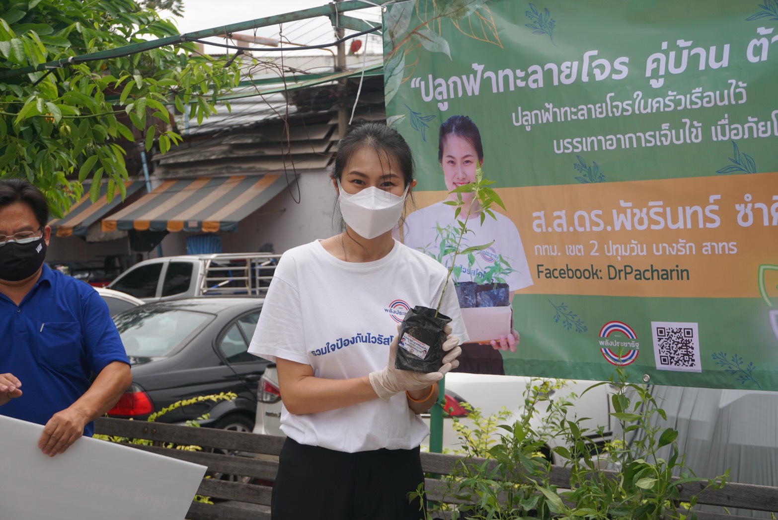 "พัชรินทร์" เดินหน้าส่งเสริม "ปลูกฟ้าทะลายโจร คู่บ้าน ต้านโควิด" นำร่องในพื้นที่กทม.