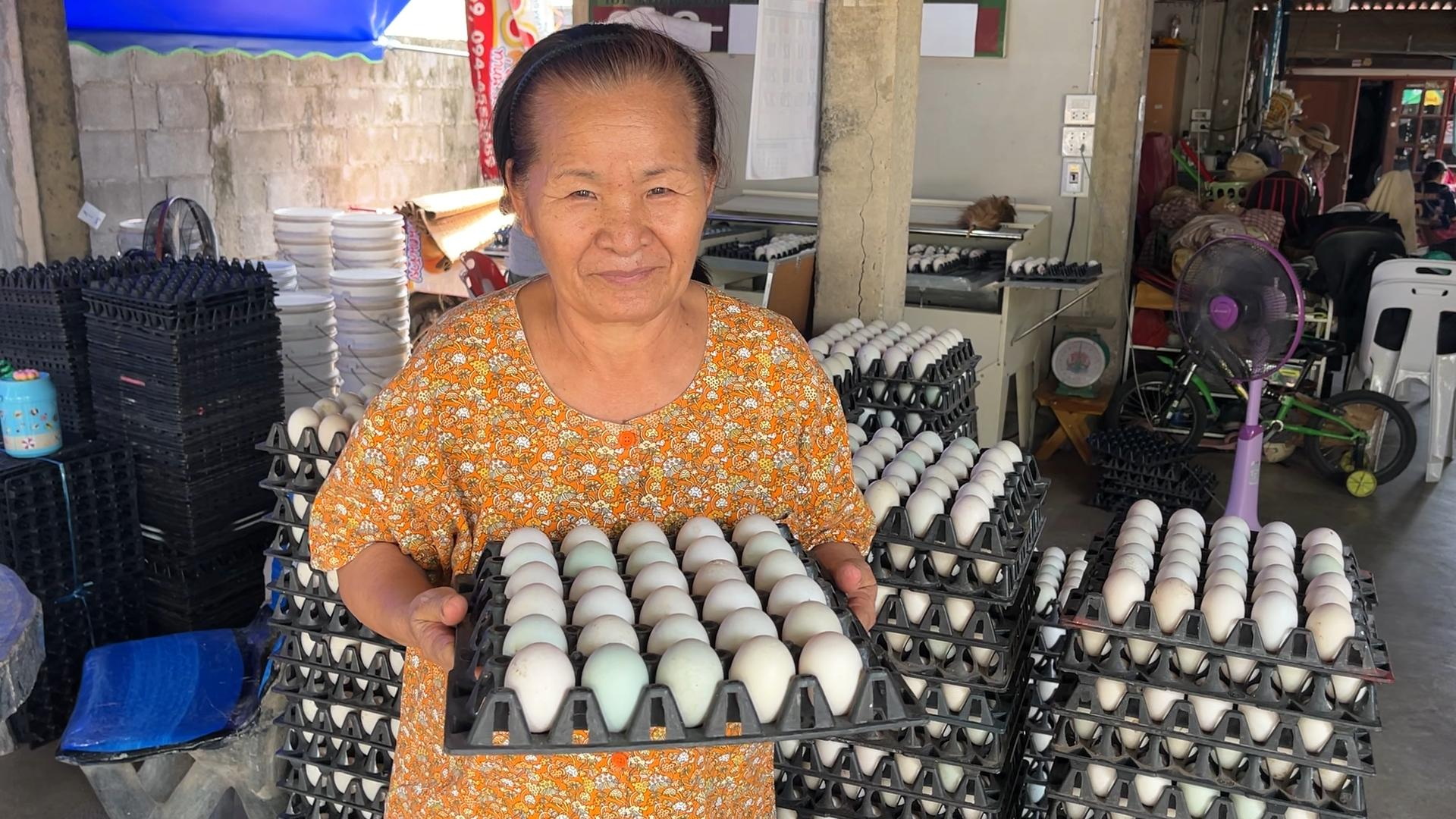 ขอนแก่นร้อนมากเป็ดออกไข่น้อยลงหลังประสบภาวะเครียดทำไข่ไซส์เล็ก 