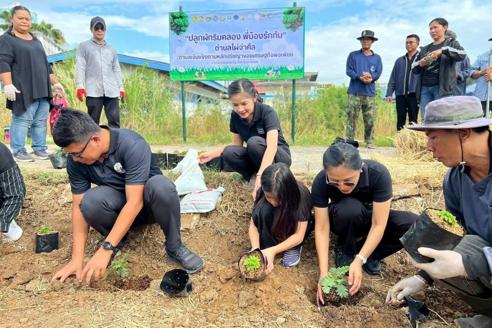 วิเศษชัยชาญจัดกิจกรรม “วันดินโลก” ขับเคลื่อนตำบลไผ่จำศีลสู่ชุมชนเข้มแข็งตามหลักเศรษฐกิจพอเพียง