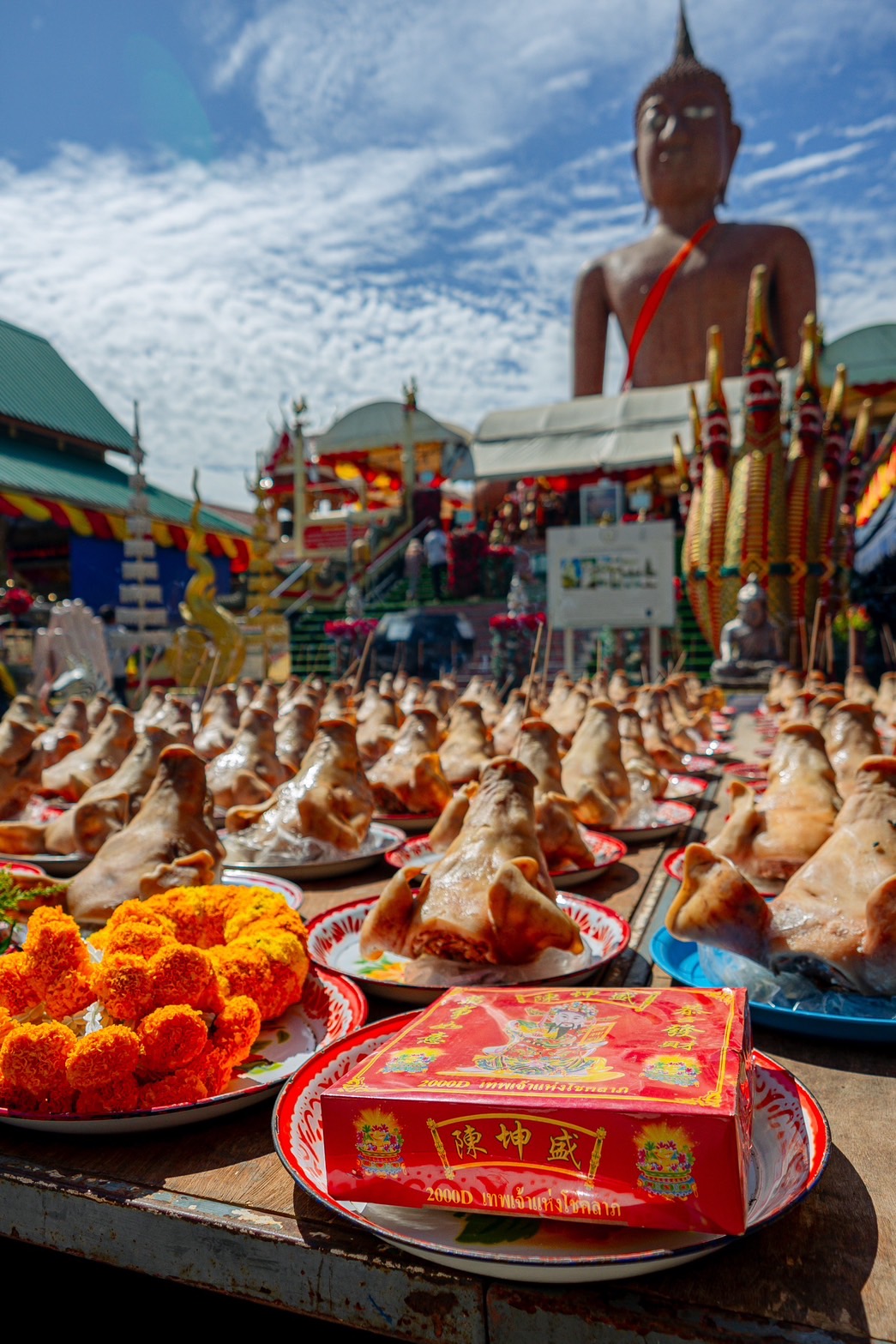 นครปฐม แม่ค้าขายหมูนครนายก นำหัวหมู 100 หัว แก้บนหลวงพ่อสมหวัง หลังสู้มา 3-4 ปี จนชนะได้ที่ดินคืนมา30กว่าไร่  
