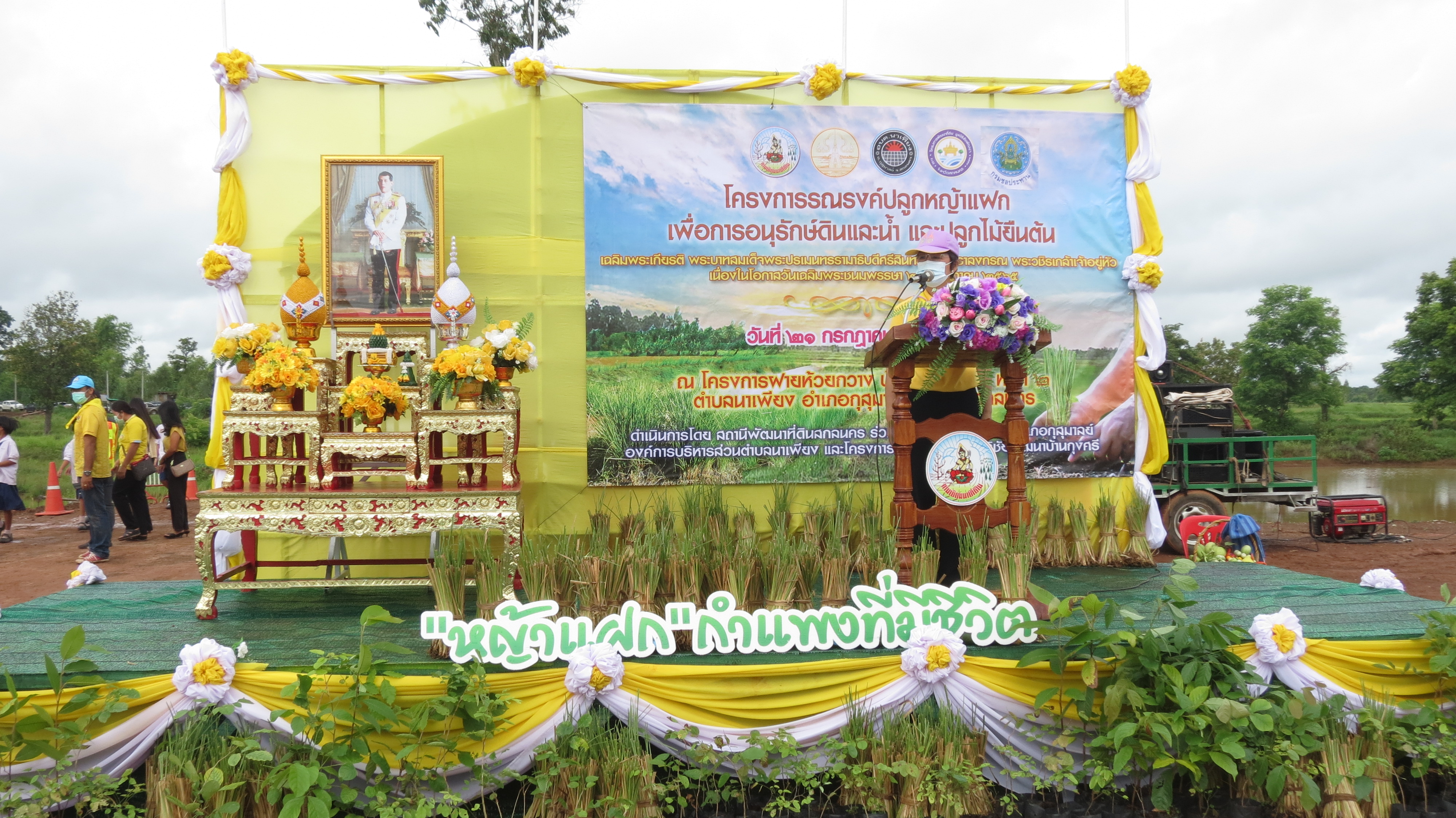 สกลนครปลูกหญ้าแฝกเฉลิมพระเกียรติในหลวงเฉลิมพระชนมพรรษา