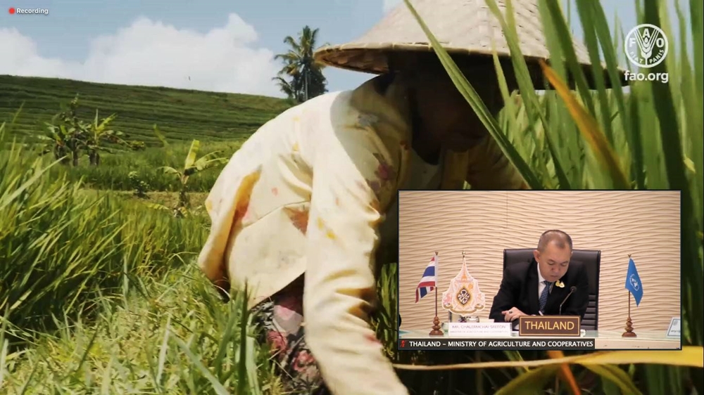 รมว.เกษตรฯ ประกาศในเวที FAO ไทยพร้อมรับมือวิกฤตอาหารในสถานการณ์โควิด