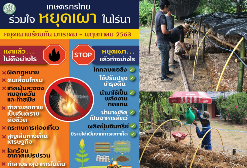 เกษตรฯ วางแนวป้องกัน ลดเผาพื้นที่เกษตร แก้ฝุ่นพิษ
