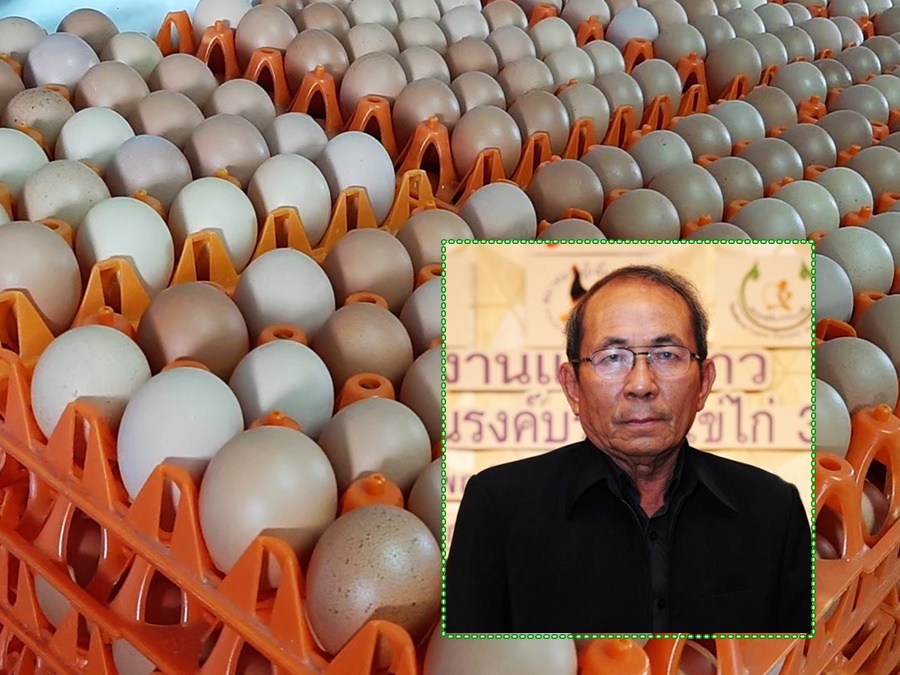 เกษตรกรผู้เลี้ยงไก่ไข่ จี้ปศุสัตว์ กวาดล้างพ่อค้าคนกลาง กักตุน-ขนไข่ไก่ข้ามเขต