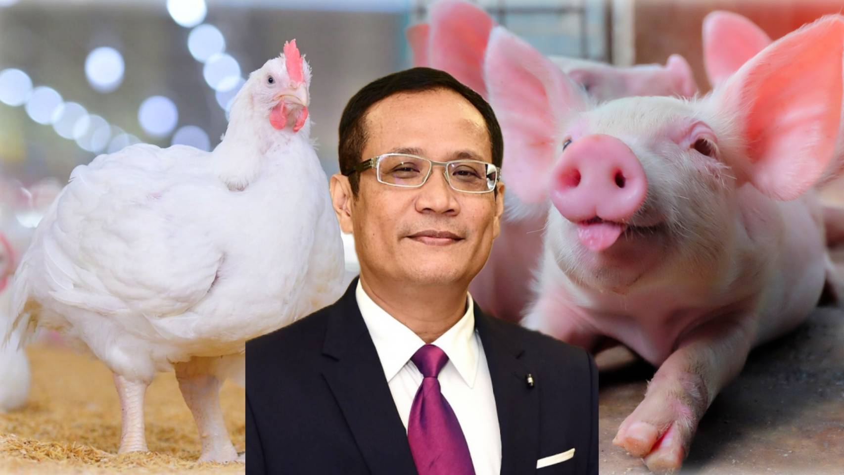หมู-ไก่ แข็งแรงด้วย “โพรไบโอติก” กุญแจสำคัญสู่สุขภาพที่ดี