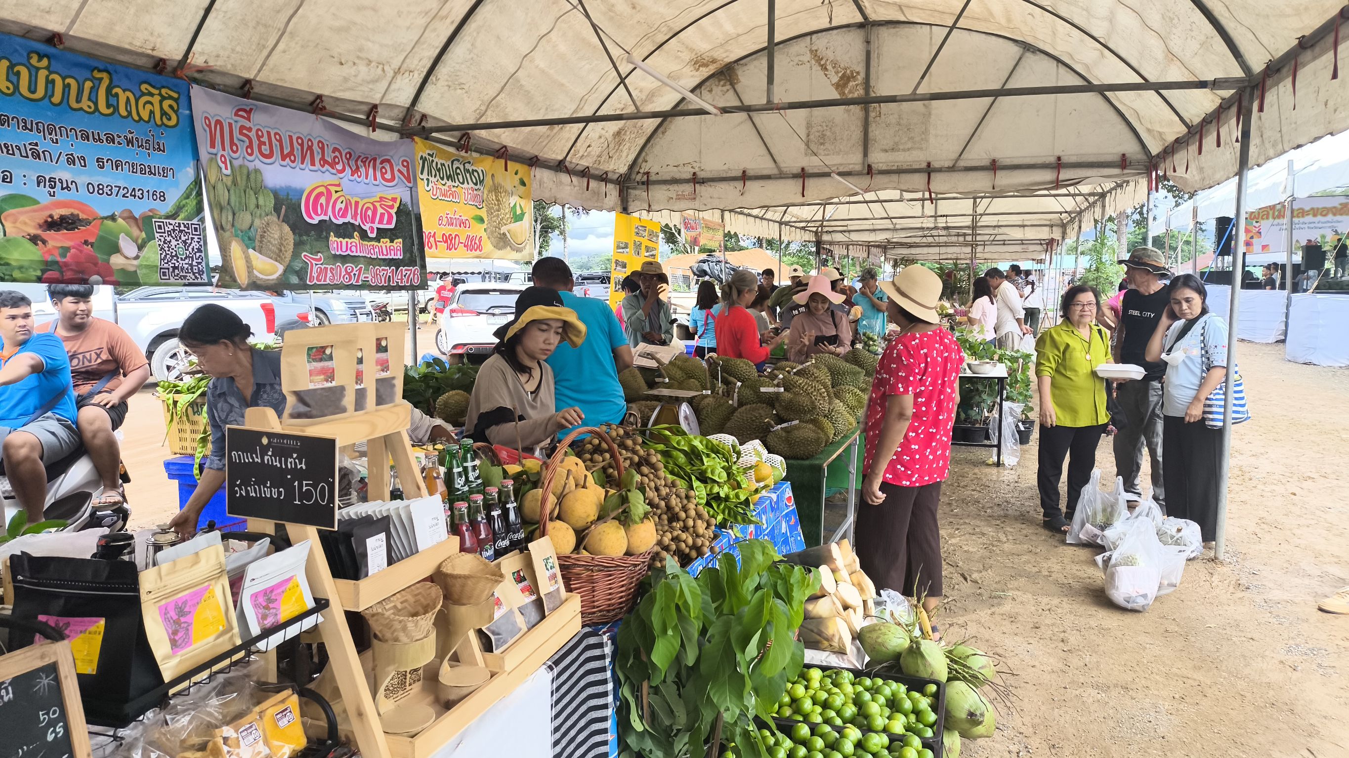 โคราช ชวนเที่ยว “วันผลไม้และของดีวังน้ำเขียว” สัมผัสแหล่งท่องเที่ยวช่วงฤดูฝน