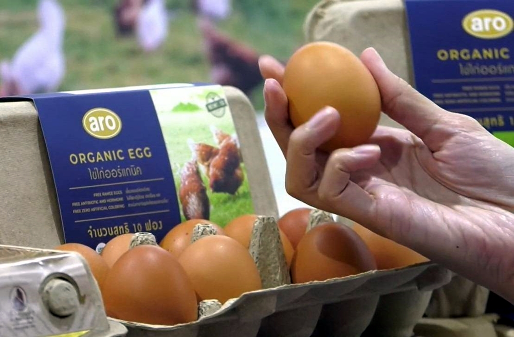 "แม็คโคร" จับมือพันธมิตรผลิตไข่ไก่จากแม่ไก่อารมณ์ดี ตั้งเป้าขยายการรับซื้อ-จำหน่าย ในราคาที่เอื้อมถึงได้