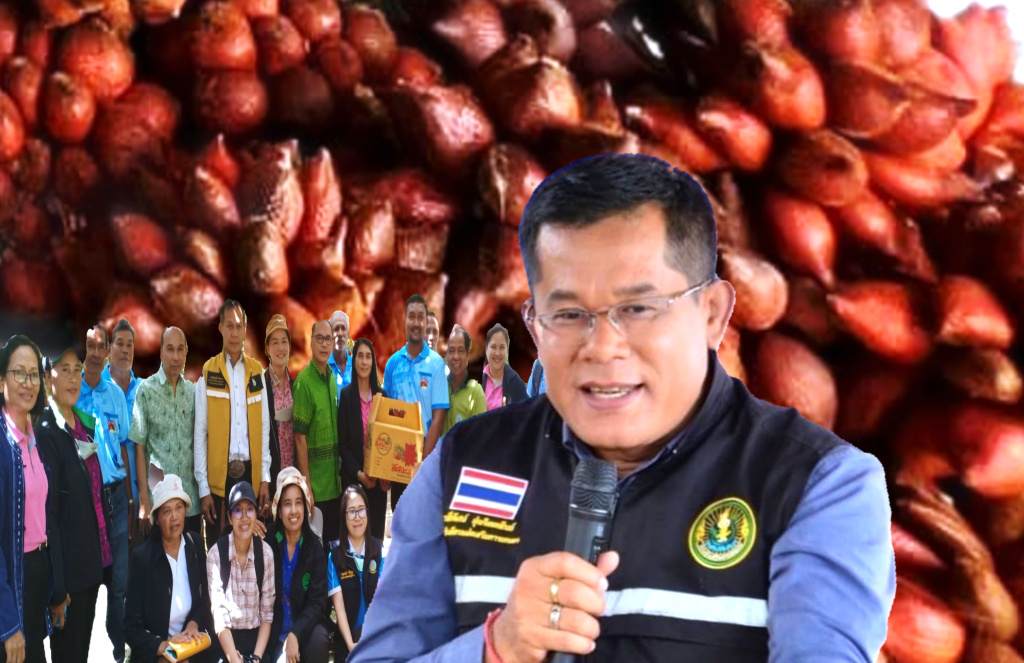 แปลงใหญ่สละ ตำบลทุ่งนารี สร้างอัตลักษณ์แบรนด์สินค้า สร้างมูลค่าเพิ่ม