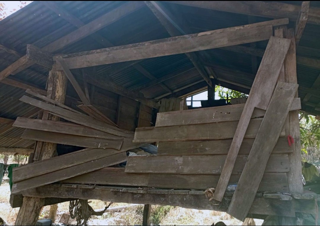 "ชาวบ้านบึงกาฬ"ผวา! ช้างภูวัวพังเถียงนา​ "สวนยาง-สวนกล้วย"ยับเยิน​ วอนจนท.เร่งผลักดัน