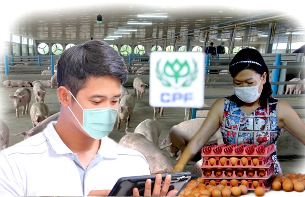 ยกระดับเกษตรกรคอนแทรคฟาร์ม CPF ชูเทคโนโลยี-ระบบออนไลน์ สู่ฟาร์มอัจฉริยะ 