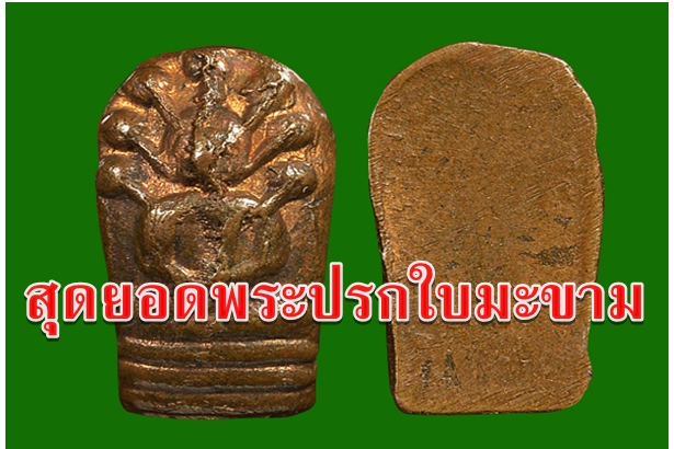 สุดยอดพระปรกใบมะขาม