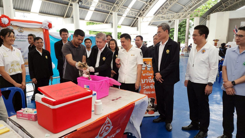 บุรีรัมย์ฉีดวัคซีน-ทำหมันหมาแมวฟรี 500 ตัว เดินหน้าป้องกันโรคพิษสุนัขบ้า