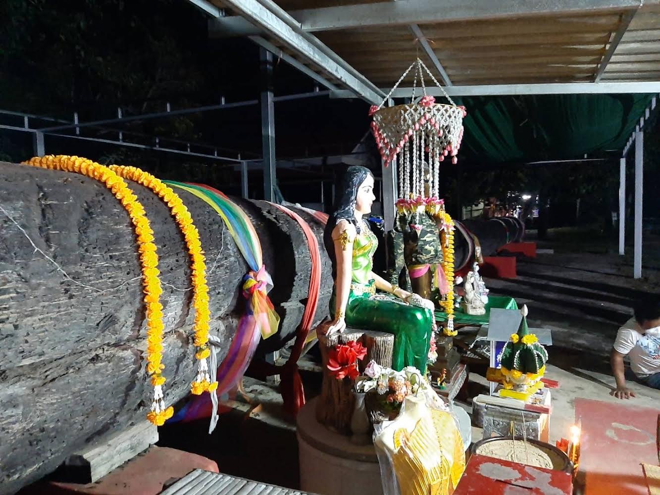 เซียนหวยเชิญร่างทรงบวงสรวงขอโชคลาภกับต้นตะเคียนทองพันปี  เลขเด่นพูดชัดๆ เชื่องวดนี้มาแน่