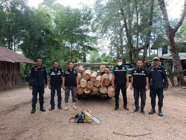สำนักป้องกันรักษาป่าและควบคุมไฟป่า โดยศูนย์ป้องกันและปราบปรามที่ 1 (ภาคกลาง) ตรวจยึดไม้ท่อน 31 ท่อน
