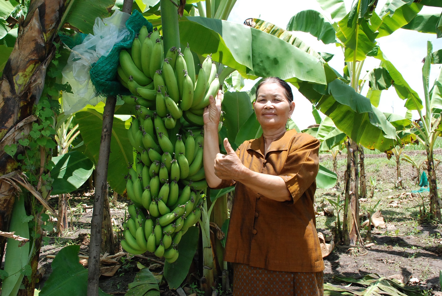 ชัยภูมิโมเดลปรับเปลี่ยนพื้นที่ปลูกข้าวAgri – Map  