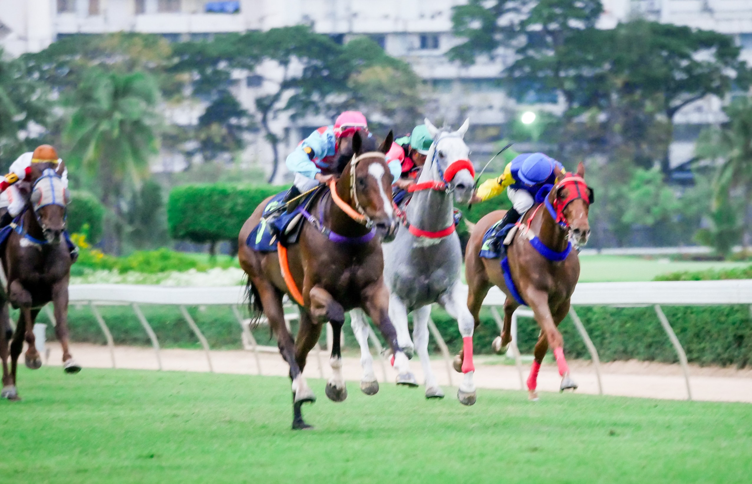 "สนามฝรั่ง" จัดม้าแข่งนัดที่ 2 อาทิตย์ที่ 27 พ.ย.นี้ คาดแฟนกีฬาเข้าสนามเพิ่ม