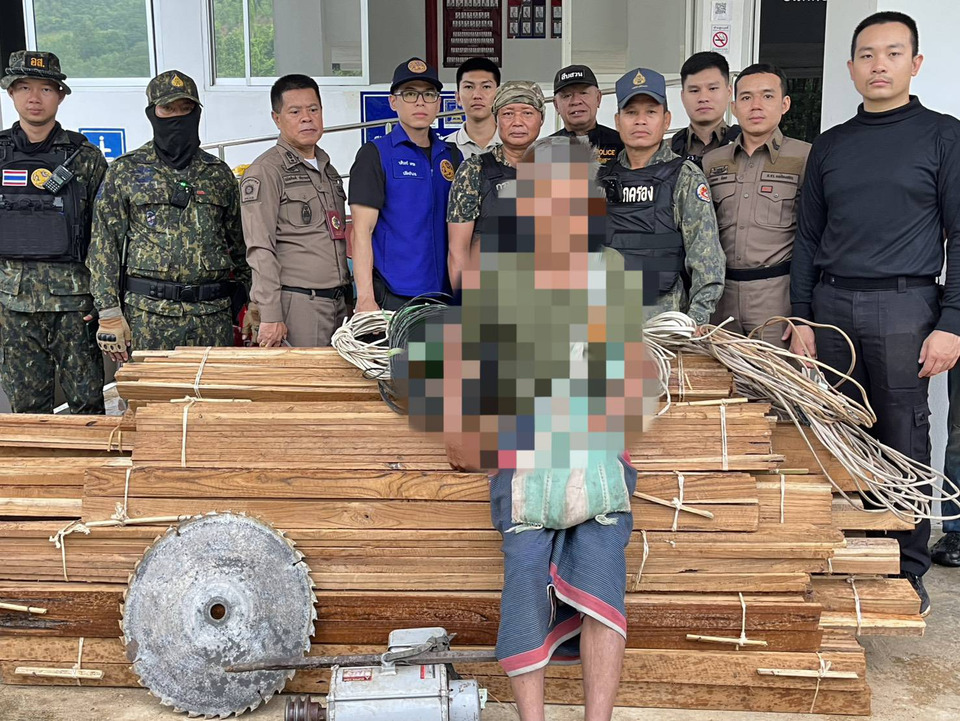 แม่สะเรียงลุย Operation 90 Day! ยึดไม้สักแปรรูป 185 แผ่น รวบลุงวัย 72 ปี ฉี่ม่วง
