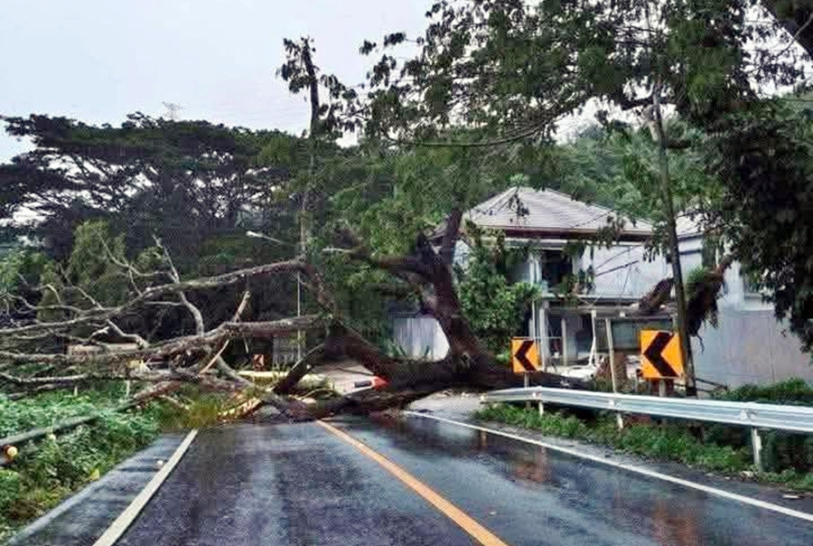 ฝนถล่มภูเก็ตต่อเนื่อง ดินสไลด์–ต้นไม้ใหญ่โค่นปิดถนน หลายพื้นที่น้ำท่วมรอระบาย
