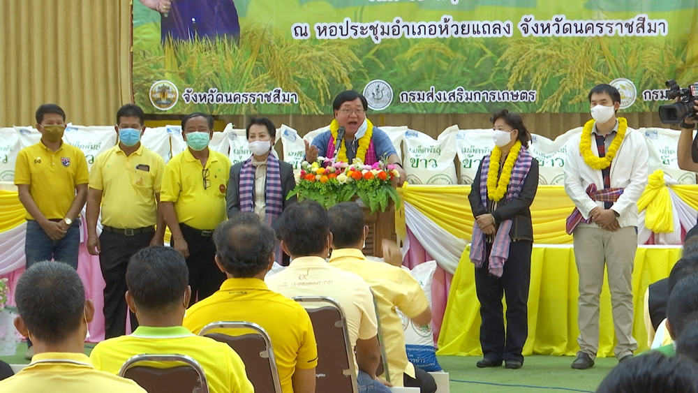 เกษตรกรบ้านโนนกระสัง รวมกลุ่มนาแปลงใหญ่ ผลิตข้าวพันธุ์ดี