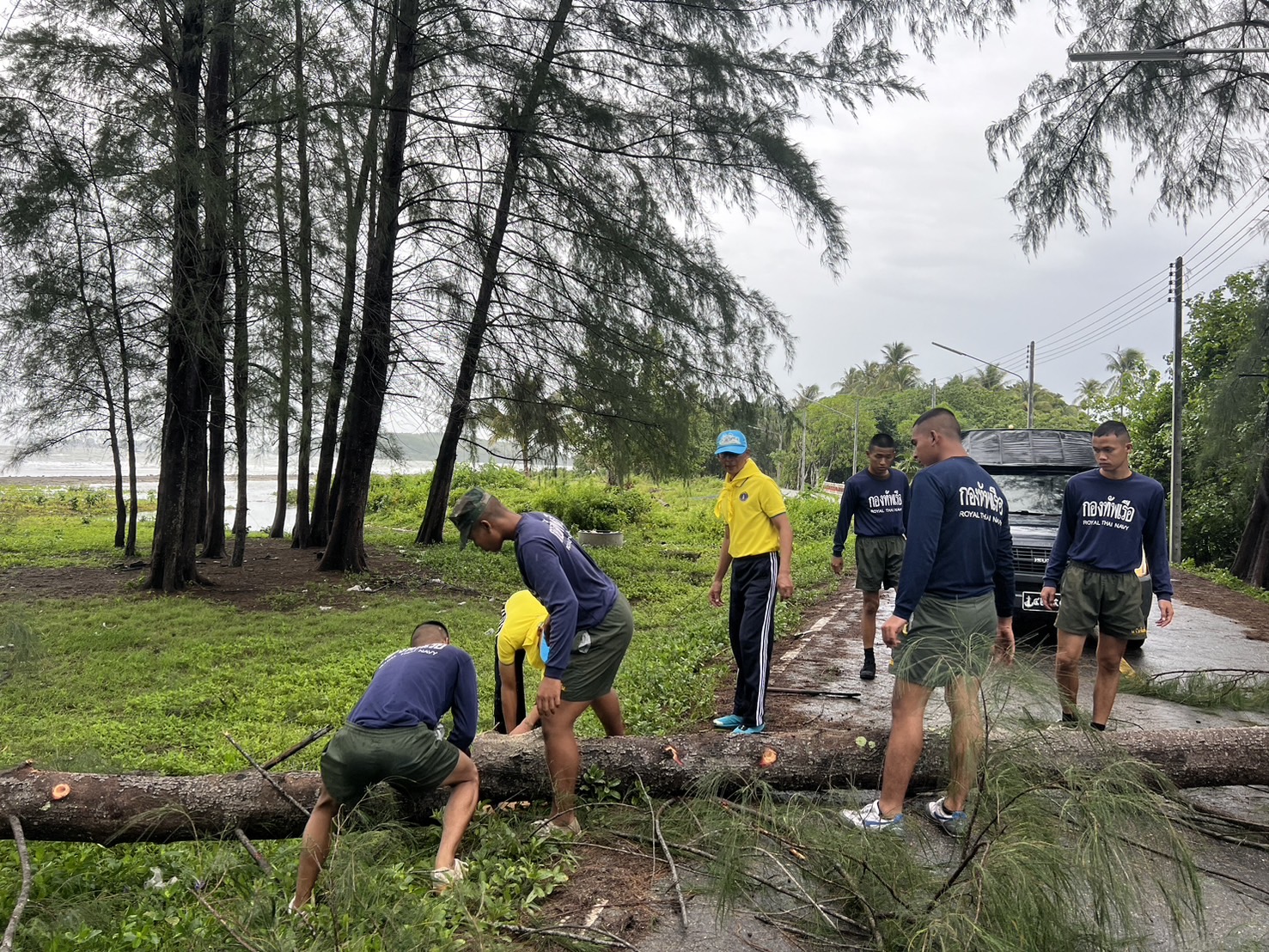 สตูลเกิดพายุฝนกรรโชกต้นไม้สักสูง 7 เมตรล้มทับบ้านเรือนริมชายฝั่งหลังคาเสียหาย  
