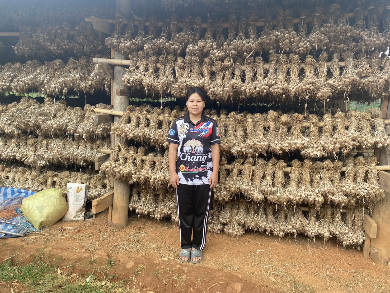 เกษตรกรในพื้นที่ตำบลนาปู่ป้อม จ.แม่ฮ่องสอน วอนหน่วยงานรัฐเข้าไปดูแลและช่วยเหลือหลังราคากระเทียมตกต่ำ
