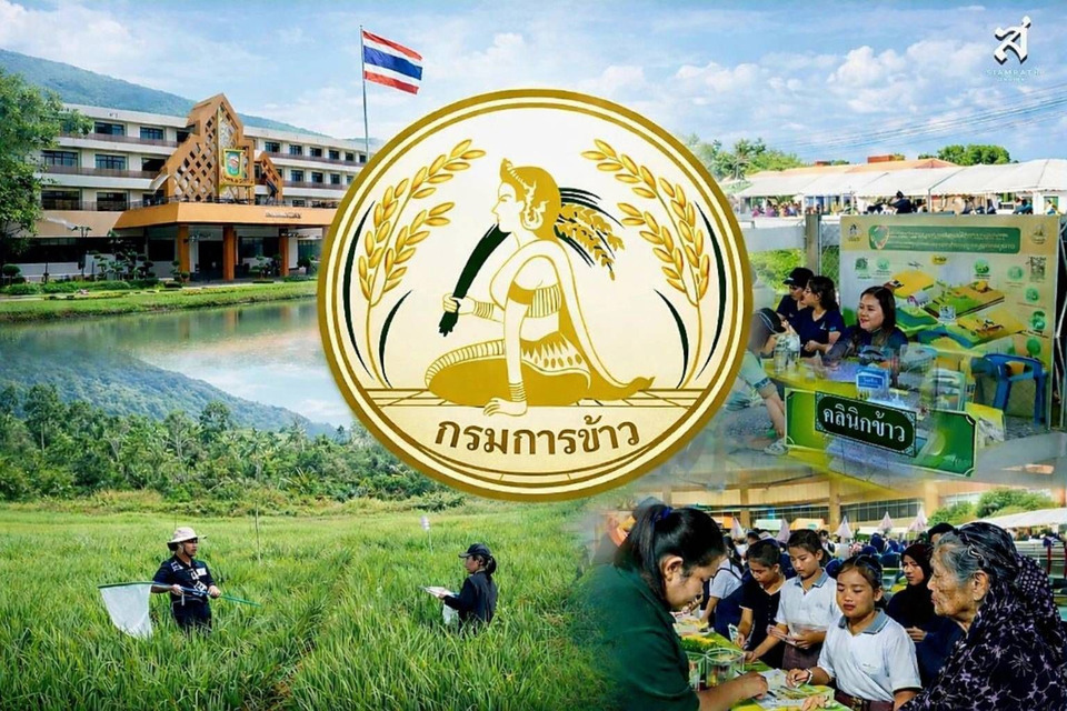 เปิดเส้นทาง 20 ปี “กรมการข้าว” ยกระดับข้าวไทย สืบสานศาสตร์พระราชา 
