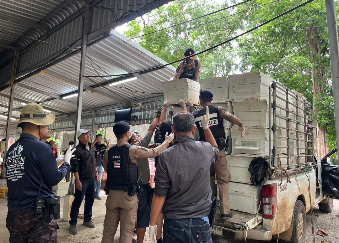 ลำพูน จับยาบ้าล็อตใหญ่ 12 ล้านเม็ดซุกมากับลังเลี้ยงผึ้ง คาด่านตำรวจ สภ.ลี้