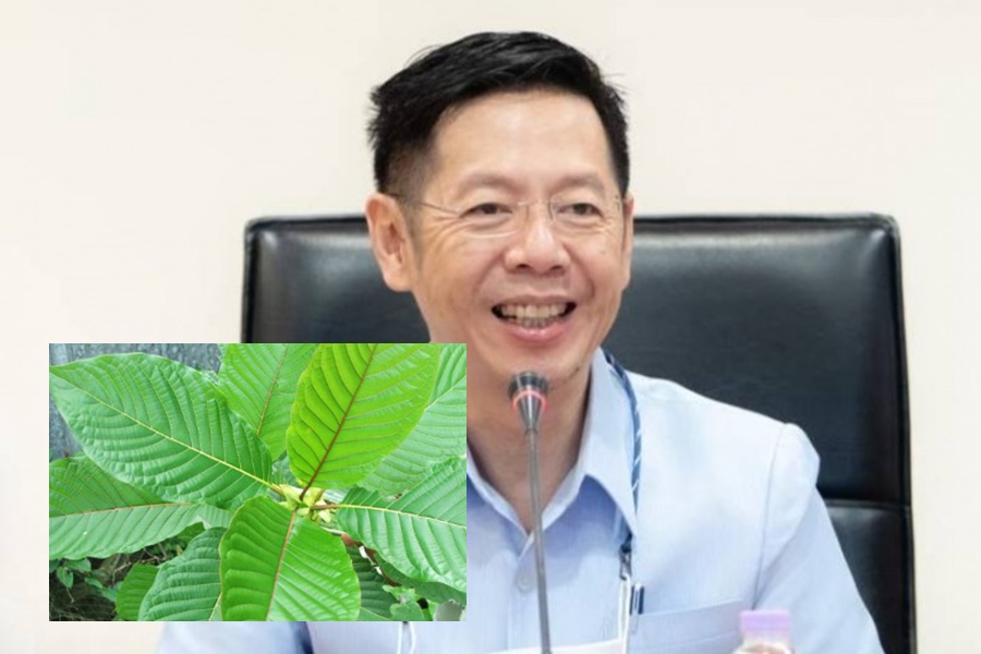 อย.เตือน!ผลิตภัณฑ์สุขภาพทำจากกระท่อม ต้องขออนุญาตก่อน