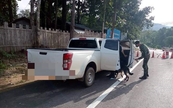 ทหารพราน 3504 ร่วมกับ ชุดสุนัขทหารกองกำลังนเรศวร จับเฮโรอีน  