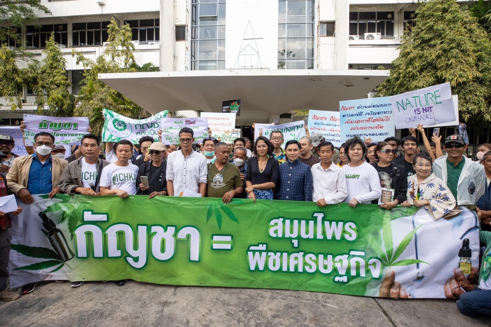 เครือข่ายกัญชา ออกแถลงการณ์โต้ ย้าย “หมอสุภัทร” ปมคัดค้าน พ.ร.บ.กัญชาเสรี 